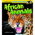 African Animals - Paperback