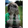 Little Big Moments: 51 Playful and Piercing Lessons about Parenting - Paperback