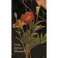 Marigold - Paperback
