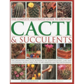 The Complete Illustrated Guide to Growing Cacti & Succulents: The Definitive Practical Reference on Identification, Care and Cultivation, with a Direc - Paperback