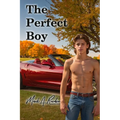 The Perfect Boy - Paperback