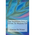 The Sensitive Soul's Guide To Waking Up - Paperback