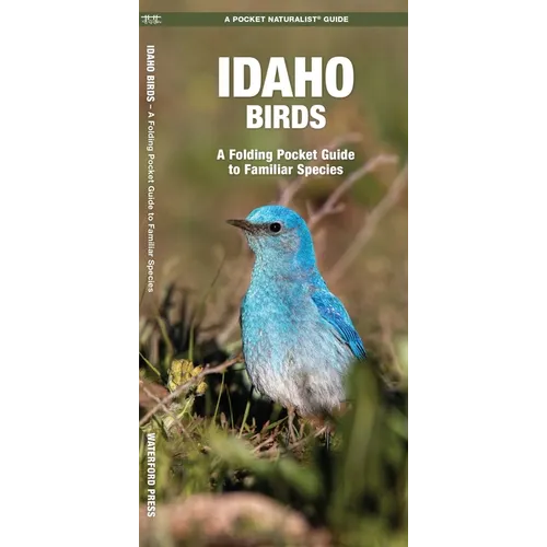 Idaho Birds: A Folding Pocket Guide to Familiar Species