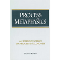 Process Metaphysics: An Introduction to Process Philosophy - Paperback