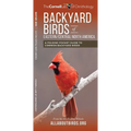 Backyard Birds of Eastern/Central North America: A Folding Pocket Guide to Common Backyard Birds - Paperback