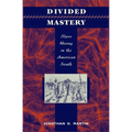 Divided Mastery: Slave Hiring in the American South - Hardcover