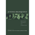 Juvenile Delinquency: Prevention, Assessment, and Intervention - Hardcover