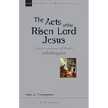 The Acts of the Risen Lord Jesus: Luke's Account of God's Unfolding Plan Volume 27 - Paperback