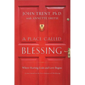 A Place Called Blessing: Where Hurting Ends and Love Begins - Paperback