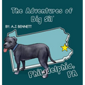 The Adventures of Big Sil Philadelphia, PA: Children's Book Picture Book - Hardcover