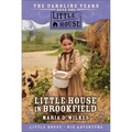 Little House in Brookfield - Paperback
