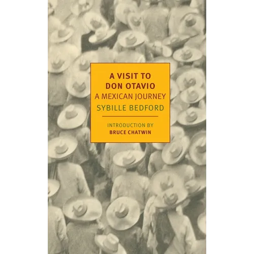 A Visit to Don Otavio: A Mexican Journey - Paperback