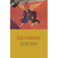 Birds in November - Paperback