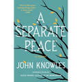 A Separate Peace - Paperback