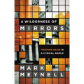 A Wilderness of Mirrors: Trusting Again in a Cynical World - Paperback