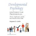 Developmental Psychology for Family Law Professionals: Theory, Application and the Best Interests of the Child - Paperback