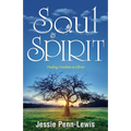 Soul and Spirit: Finding Freedom in Christ - Paperback