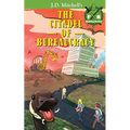 The Citadel of Bureaucracy - Paperback
