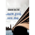 Now You See Me: A Lacey Flint Novel - Paperback