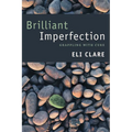 Brilliant Imperfection: Grappling with Cure - Paperback
