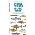 Prince Edward Island Fishes: A Folding Guide to Native and Introduced Inland Species - Paperback