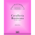 OperEnsemble12, Cavalleria Rusticana (P.Mascagni): Reduced Score - Paperback