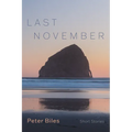 Last November: Short Stories - Paperback