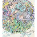 Nancy Graves: Mapping - Paperback