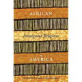 African Immigrant Religions in America - Paperback