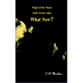 What Now? - Paperback