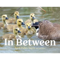 In Between - Hardcover