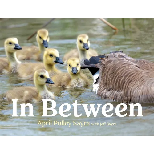 In Between - Hardcover