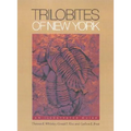 Trilobites of New York: Institutions and Social Conflict, 1946-1970 - Hardcover