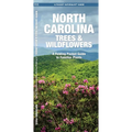 North Carolina Trees & Wildflowers: A Folding Pocket Guide to Familiar Plants - Paperback