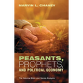 Peasants, Prophets, and Political Economy: The Hebrew Bible and Social Analysis - Paperback