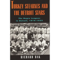 rkey Stearnes and the Detroit Stars: he Negro Leagues in Detroit, 1919-1933 - Paperback