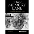 Down Memory Lane: Peter Ellinger's Memoirs - Paperback