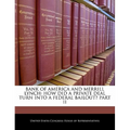 Bank of America and Merrill Lynch: How Did a Private Deal Turn Into a Federal Bailout? Part II - Paperback