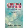 Spiritual Leadership in The Pattern of David - Paperback