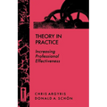 Theory in Practice: Increasing Professional Effectiveness - Paperback