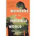 Wonders of the Invisible World - Paperback