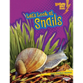 Let's Look at Snails - Paperback