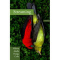 Streaming - Paperback
