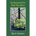 So Surprised to Find You Here: Poems - Paperback