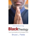 Introducing Black Theology - Paperback