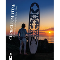Curriculum Vitae: A Journey to Montauk, Elsewhere, and Back - Paperback