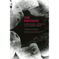 Fantastic: A Structural Approach to a Literary Genre - Paperback