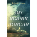 God's Apocalyptic Insurrection: A Post-Evangelical Theology of Salvation - Paperback