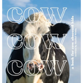 Cow Cow Cow: a book for cow obsessed kids - Hardcover