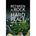 Between a Rock and a Hard Place: Public Theology in a Post-Secular Age - Hardcover